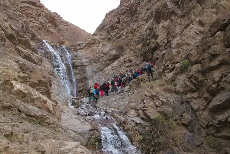 برگ جهان