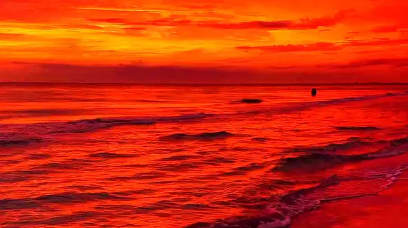 فال روزانه شخصی/ 27 خرداد ماه + فیلم