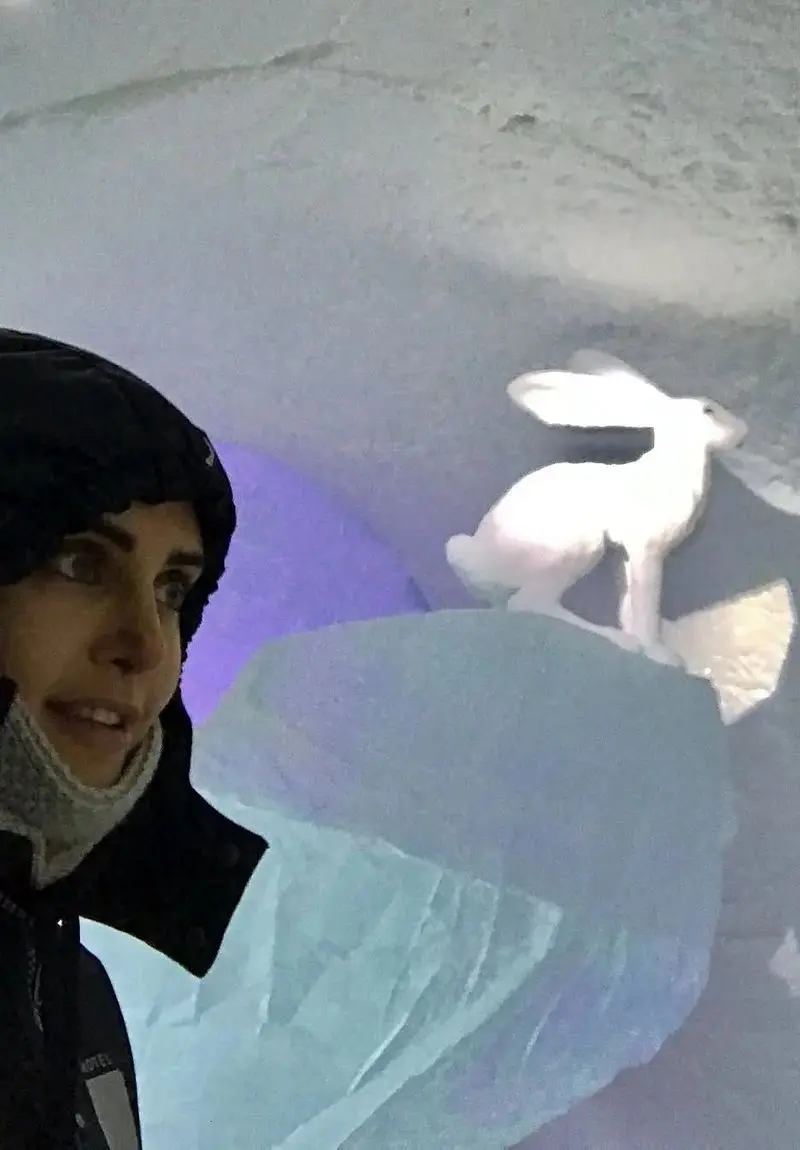 elnazshakerdoost_1514897376_1683403667333806691_279803529