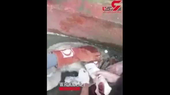 نجات یک سگ مجروح توسط تیم امداد و نجات هلال احمر صومعه‌سرا + فیلم