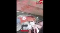 نجات یک سگ مجروح توسط تیم امداد و نجات هلال احمر صومعه‌سرا + فیلم