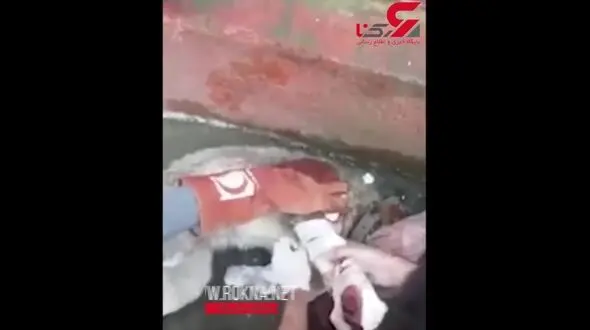 نجات یک سگ مجروح توسط تیم امداد و نجات هلال احمر صومعه‌سرا + فیلم