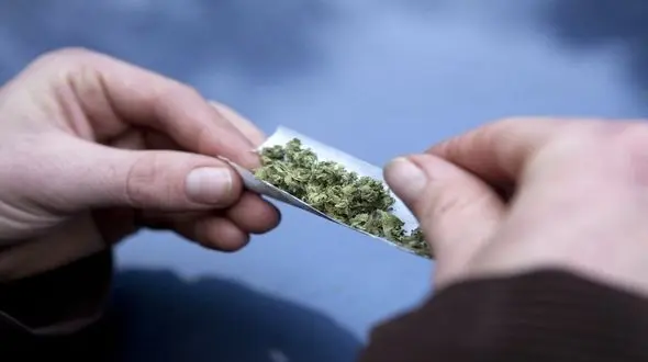 شیوع مصرف گل میان نوجوانان؛ بررسی دقیق آمار و عوامل