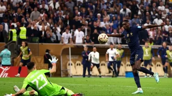 برباد رفتن آرزوهای خروس‌ها با رقص عجیب دیبو+ تصاویر