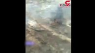 زنده زنده سوختن مار غول پیکر در آتش سوزی وسیع منطقه مسکونی / در اندونزی رخ داد ! + فیلم