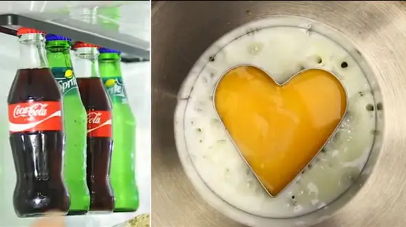 کاربردهای شگفت انگیز بطری های دور ریختنی در خانه +فیلم