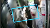 اقدام شیطانی زن تهرانی در آسانسور بین 2 مرد + فیلم 