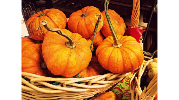 10ماده غذایی که باید در فصل پاییز بخوریم