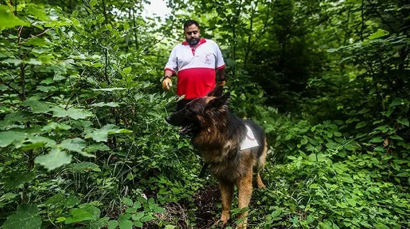 17 زن و مرد در ارتفاعات آستارا ناپدید شدند