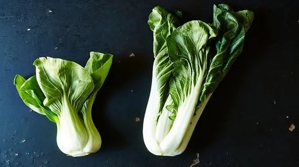 خوراکی هایی که قاتل رشد سلول های سرطانی است