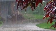 بارش باران در پلدختر| امید در چشم مردم موج زد