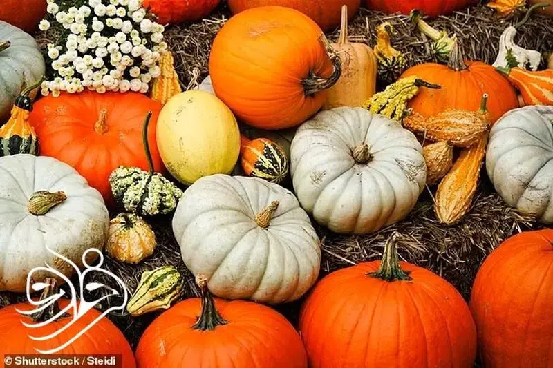 1440