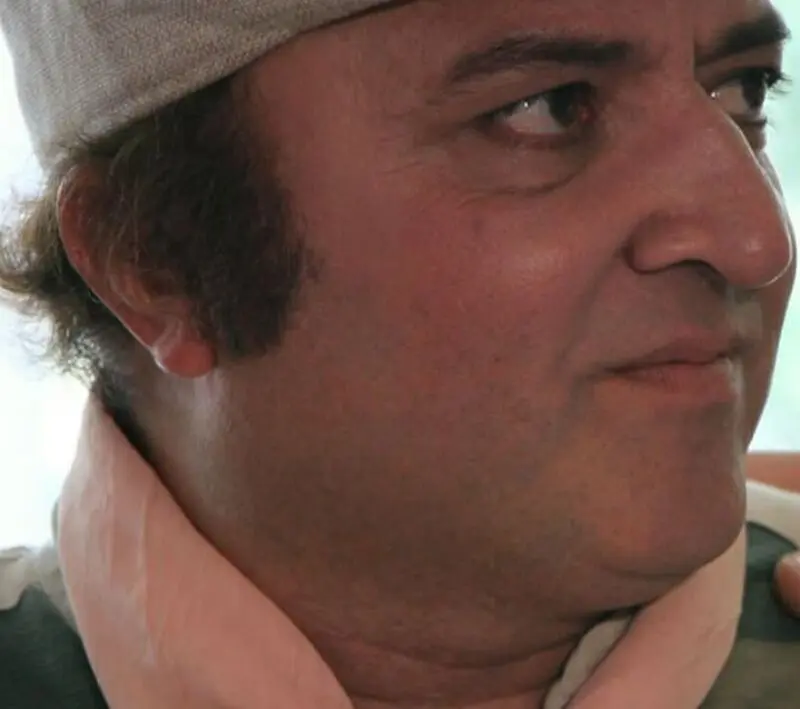 حامد وکیلی