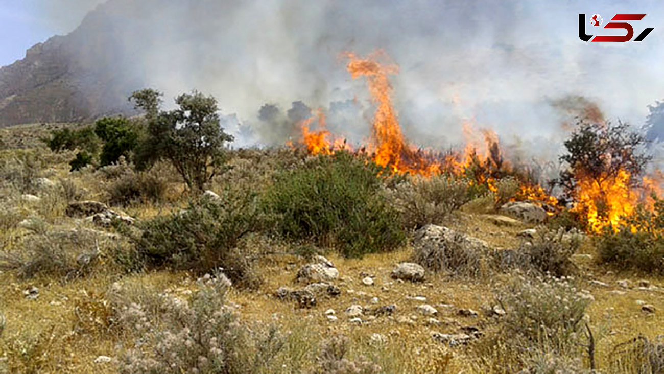 فیلم آتش سوزی پارک جنگلی شهید باهنر اراک / علت حادثه چه بود؟