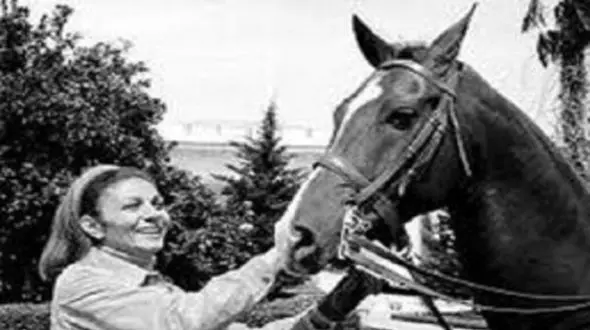 نگاهی به قصه دردناک یک اسب اصیل ایرانی که توسط فرح پهلوی مقطوع‌النسل و منقرض شد!