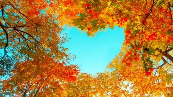 پاییز ؛ فصل عشق و اضطراب پاییزی! / راهکارهایی برای مضطرب نشدن در فصل رنگ ها