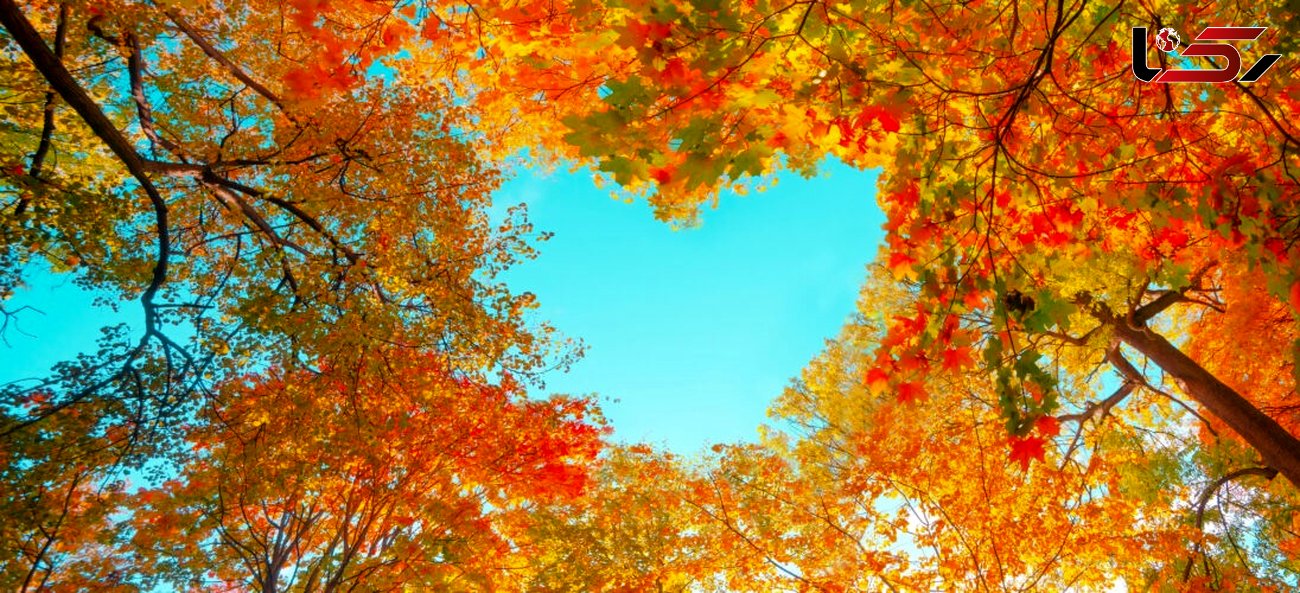 پاییز ؛ فصل عشق و اضطراب پاییزی! / راهکارهایی برای مضطرب نشدن در فصل رنگ ها