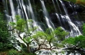 دو چهره سبز ایران / آبشار شوی و طبیعت تالش