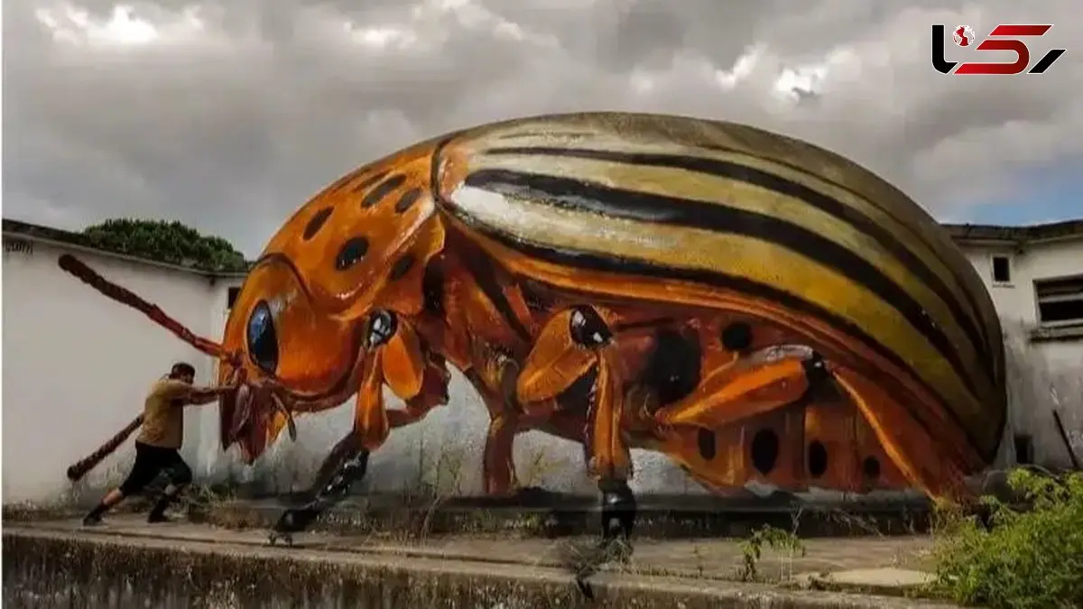 تحولی در هنر سه بعدی جهان: شاهکارهای نقاش پرتغالی با بتن / عکس