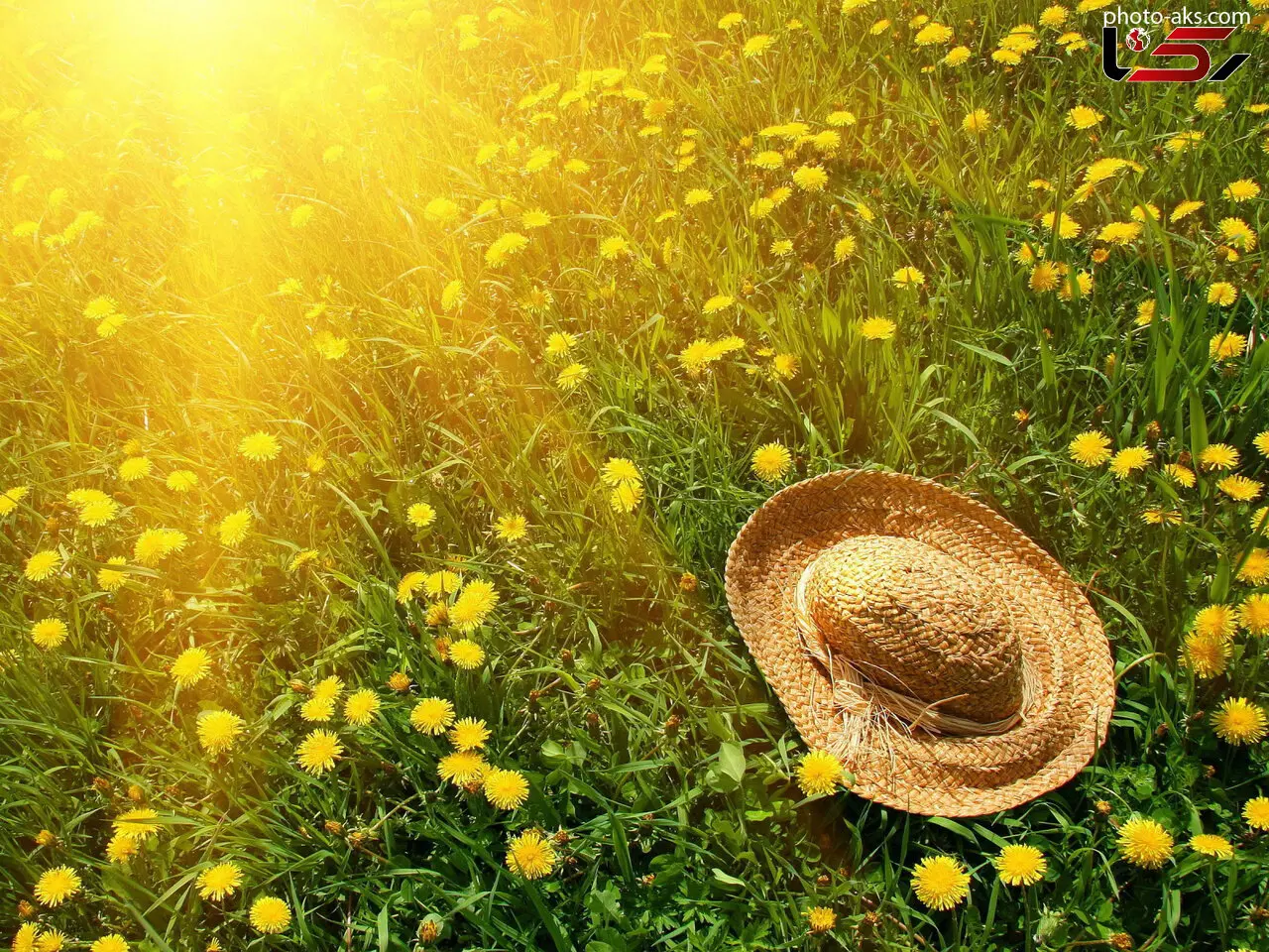 رازهای جوانی پوست صورت/راهکارهایی که پیری پوست را به تعویق می اندازد