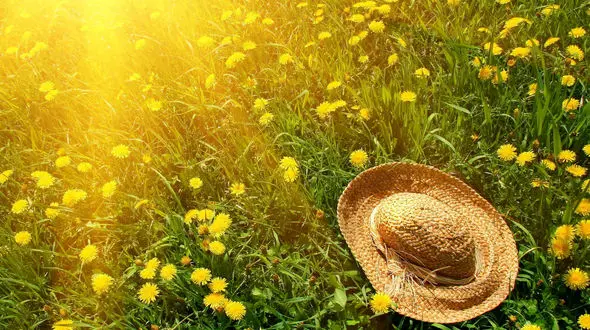 رازهای جوانی پوست صورت/راهکارهایی که پیری پوست را به تعویق می اندازد