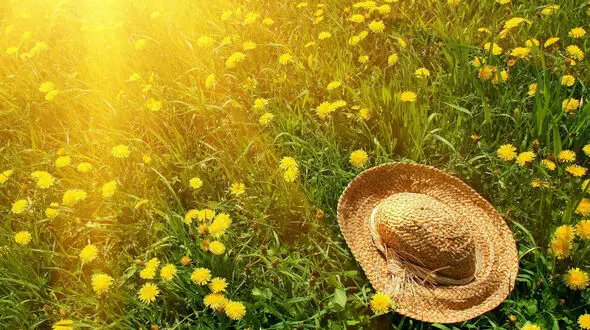 رازهای جوانی پوست صورت/راهکارهایی که پیری پوست را به تعویق می اندازد