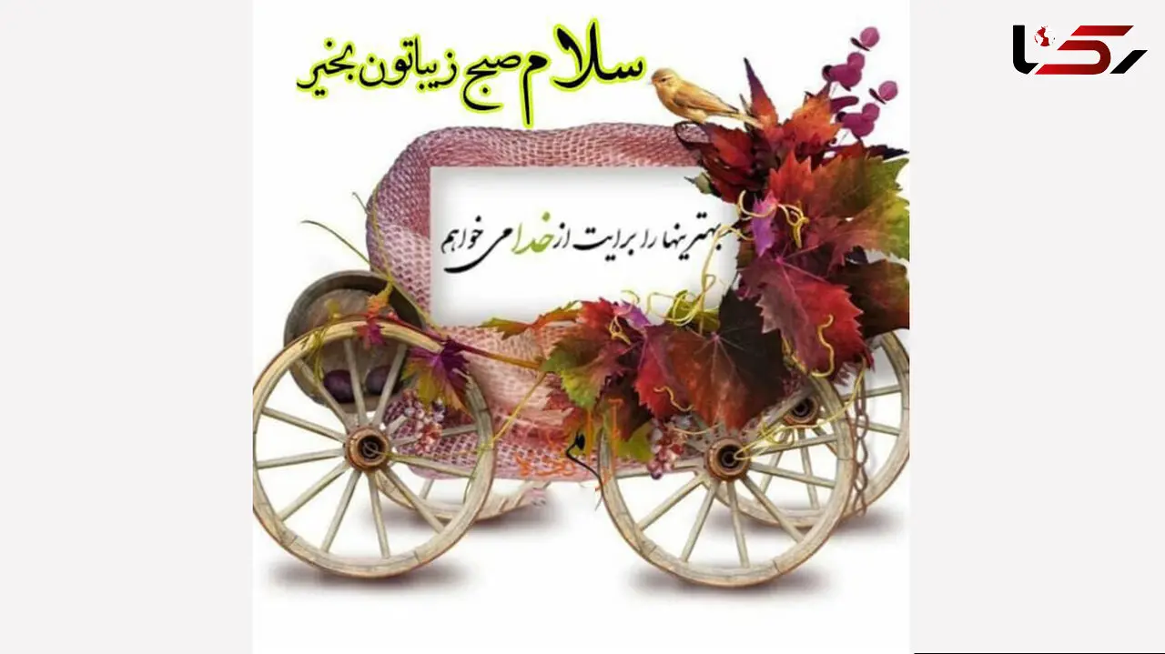 فال روزانه شخصی/ 11 شهریور ماه + فیلم