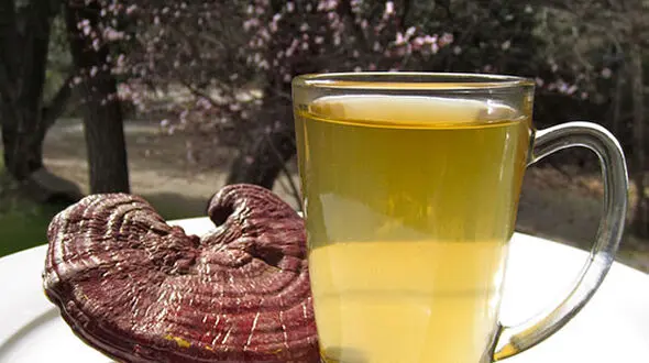 عجیب ترین چای برای لاغری
