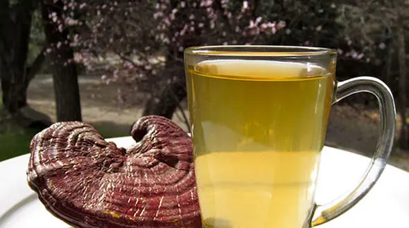 عجیب ترین چای برای لاغری