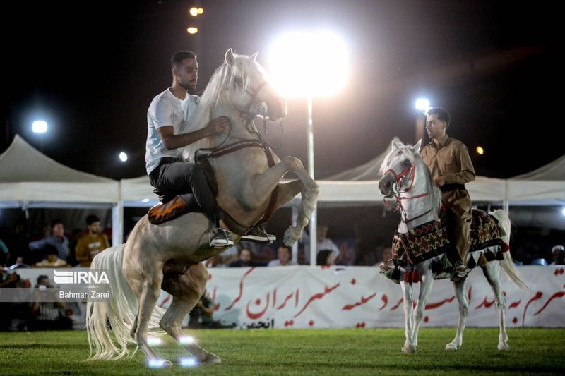 جشنواره اسب