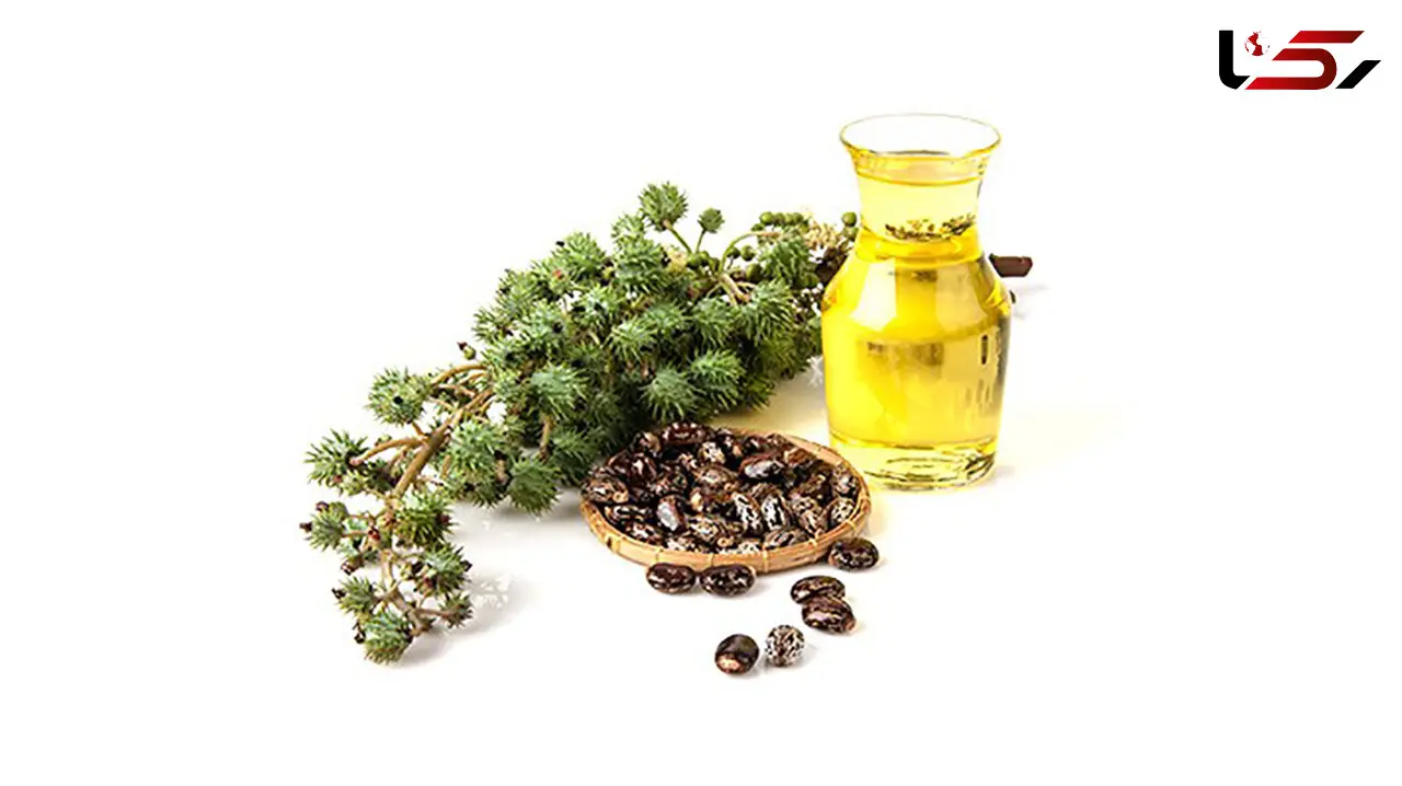 بهترین روغن مو