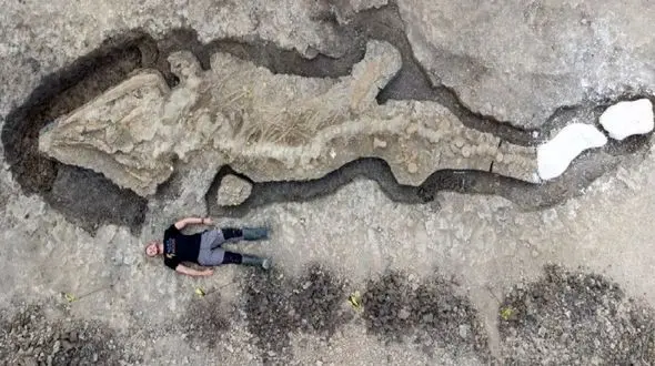 کشف بزرگترین فسیل اژد‌های دریایی + فیلم