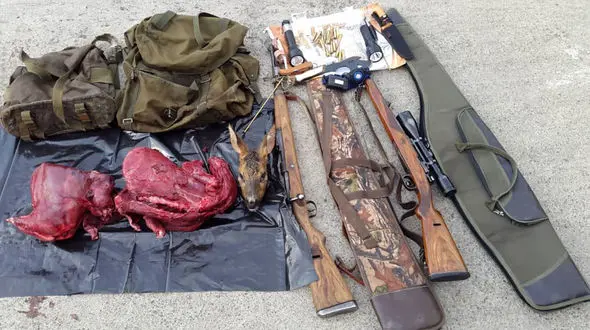 شکارچیان شوکا در سیاهکل دستگیر شدند + عکس شکار