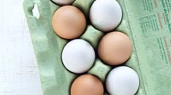 فرق تخم مرغ های قهوه ای با سفید در چیست؟