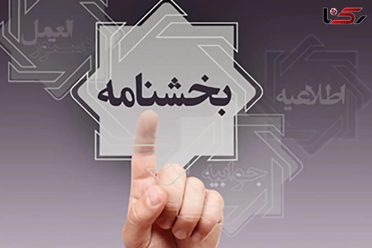 اجرای بخشودگی جریمه دیرکرد وام‌ های خرد تا سقف 700 میلیون تومان