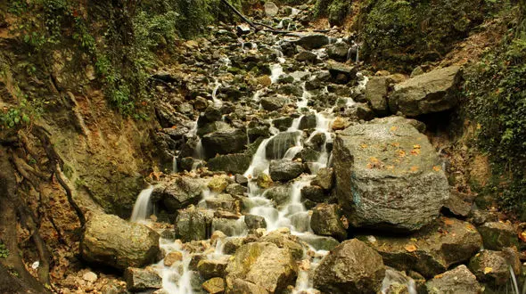 
آبشاری به زیبایی یک رویا در دل جنگل با جاذبه‌ای بکر برای گردشگری+ تصاویر
