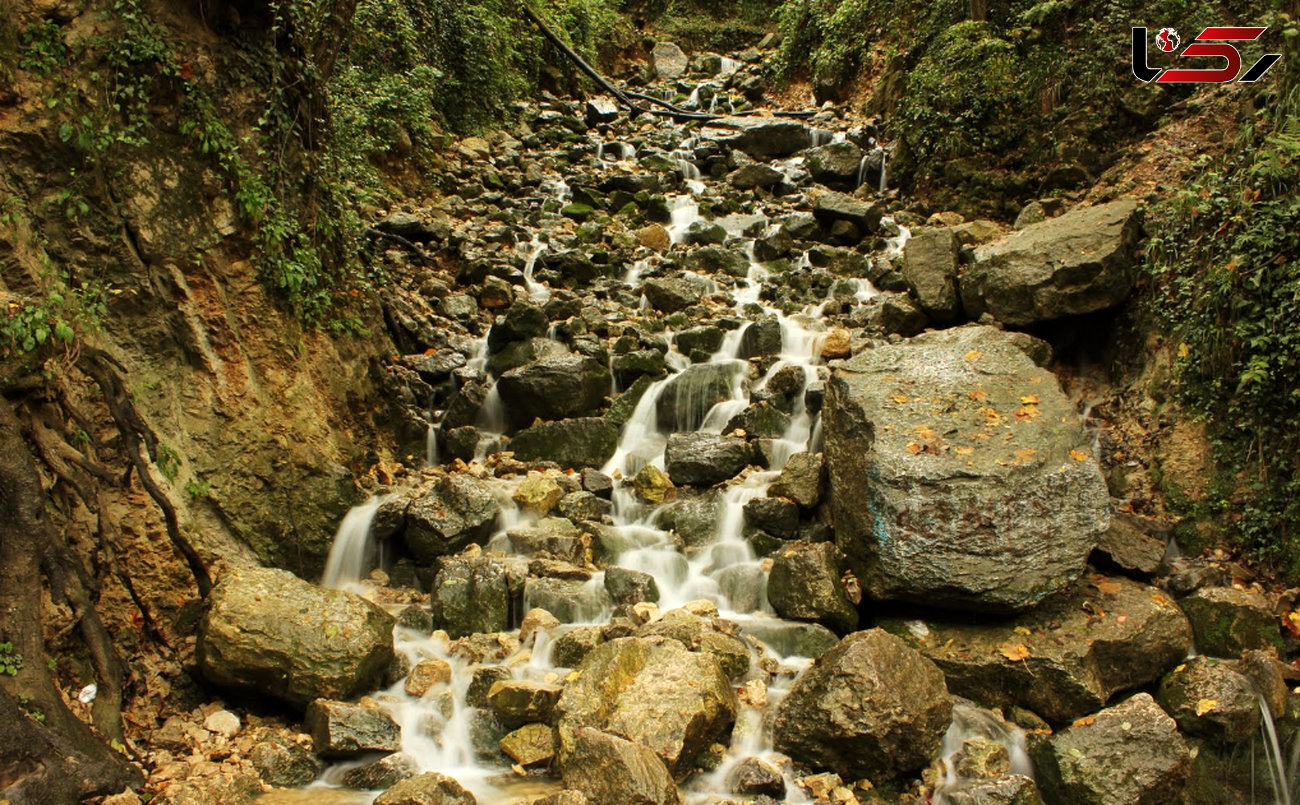 
آبشاری به زیبایی یک رویا در دل جنگل با جاذبه‌ای بکر برای گردشگری+ تصاویر
