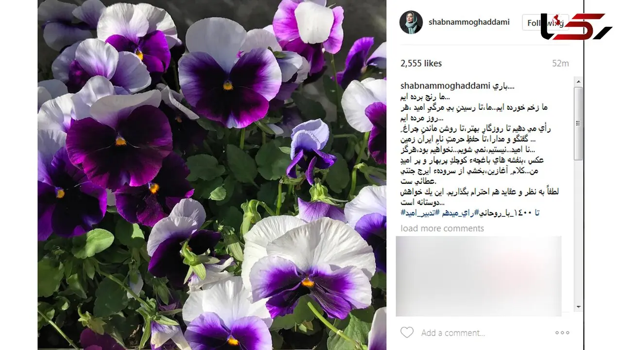 شبنم مقدمی هم در انتخابات شرکت می کند + عکس