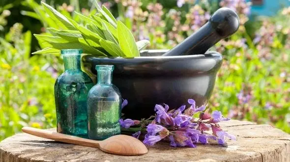 این داروهای گیاهی را هرگز نخرید