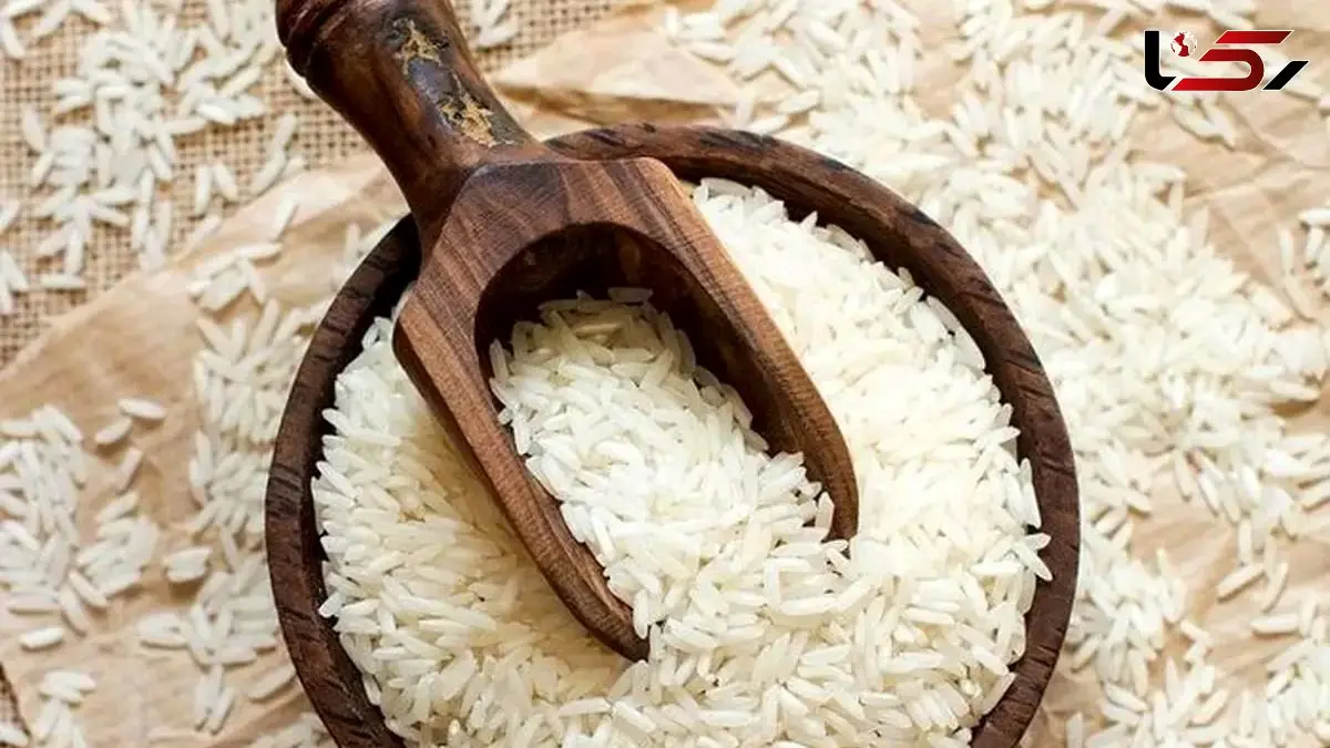 چگونه برنج اصل و تقلبی را از هم تشخیص دهیم؟ فوت و فن‌ های ساده و کاربردی