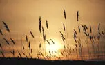 ریلکس کنید / نماهنگ بی کلام آرامش بخش + فیلم 