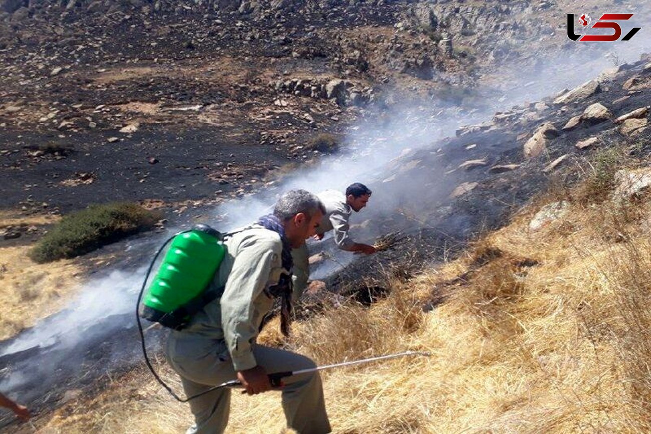 3 هکتار از اراضی ملی قزوین در آتش سوخت