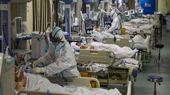 باقرزاده : تلفات روزانه کرونا بیش از شهدای کشور در جنگ تحمیلی است