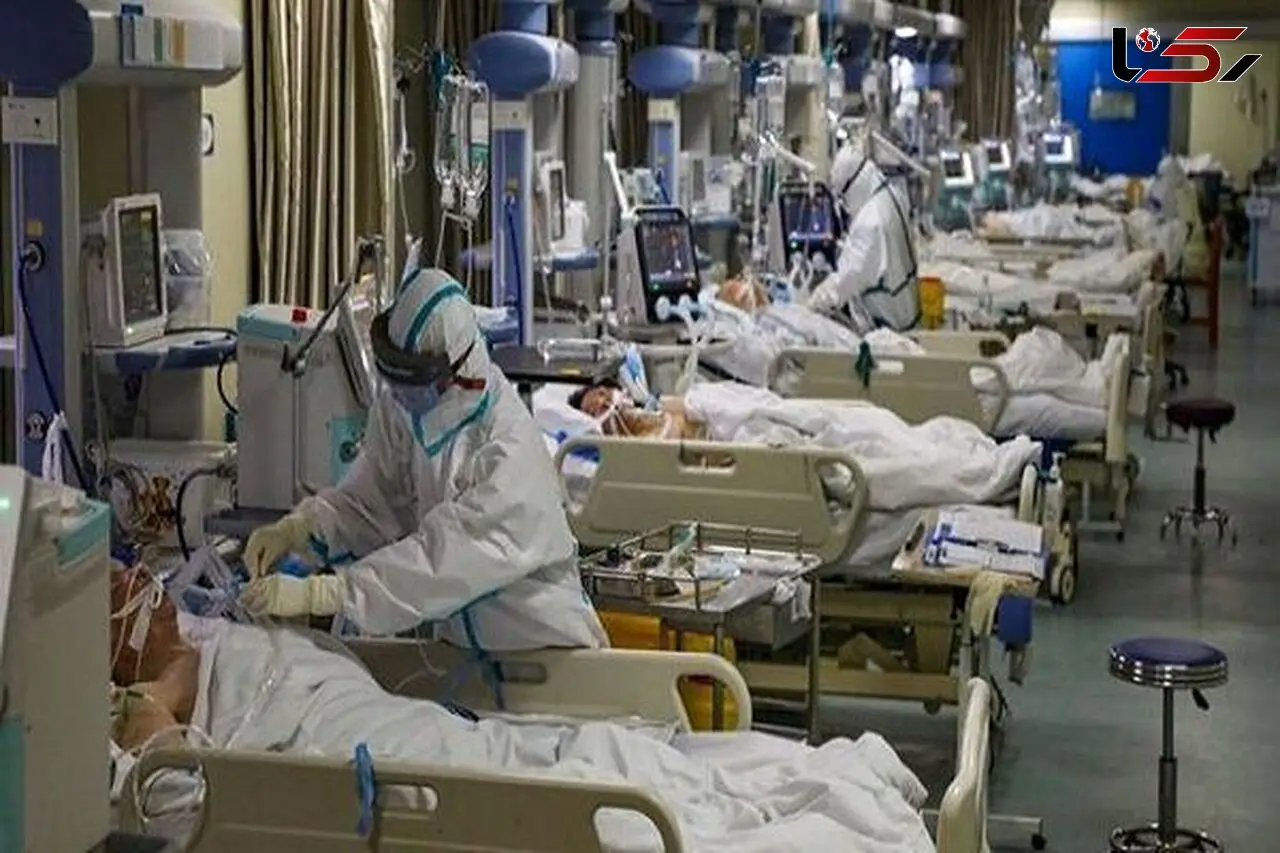 باقرزاده : تلفات روزانه کرونا بیش از شهدای کشور در جنگ تحمیلی است