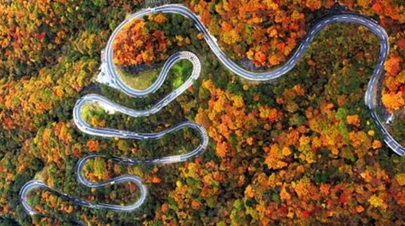 جاده ای عجیب و باورنکردنی در ژاپن+عکس