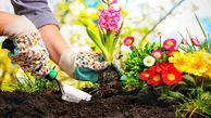 تناسب اندام با باغبانی و کاشت گل در باغچه های خانگی