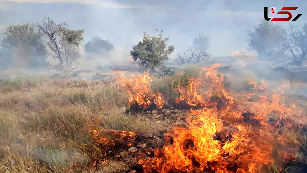 آتش‌سوزی در روستای منشاد مهریز مهار شد