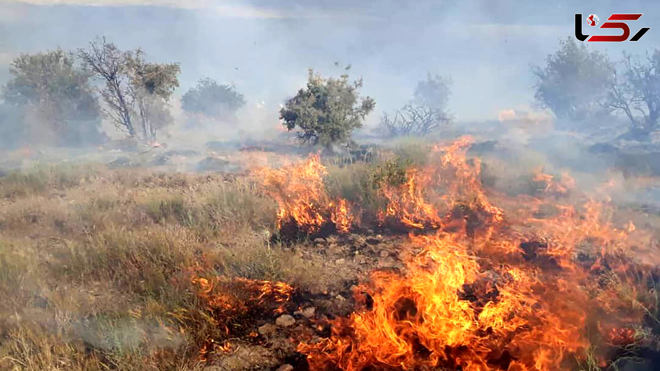 آتش‌سوزی در روستای منشاد مهریز مهار شد