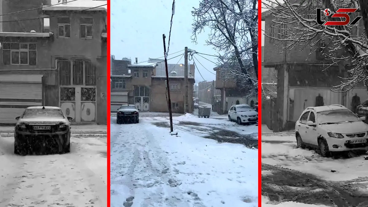 فیلم زمستان سفید و چشم نواز سردشت