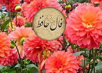 آخرین فال حافظ رکنا در سال 1403 + فیلم